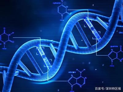 深圳為細胞和基因產業立法 劃定創新與倫理紅線，擬明令禁止生殖基因編輯